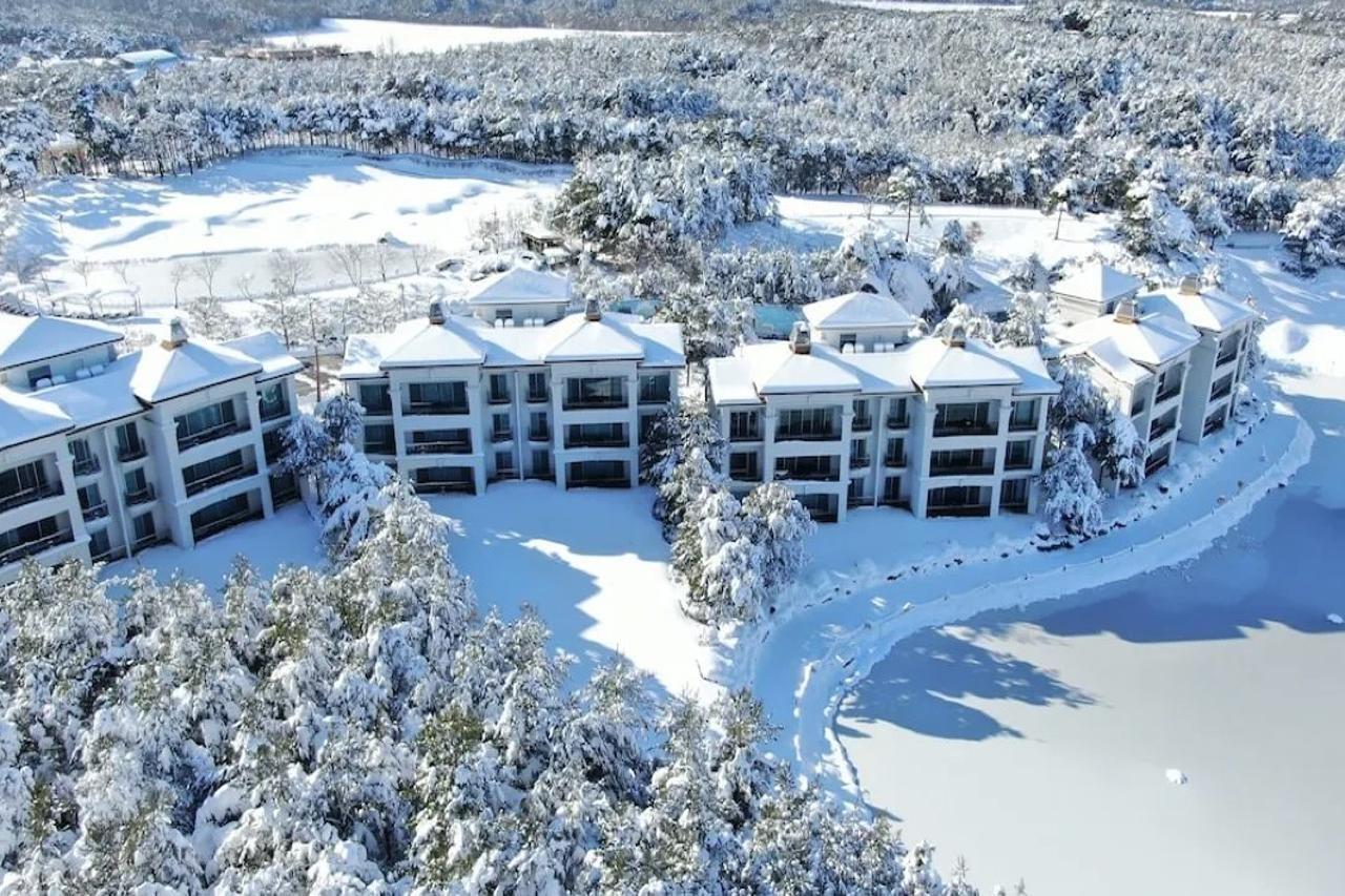 Pineridge Hotel Sokcho Ngoại thất bức ảnh