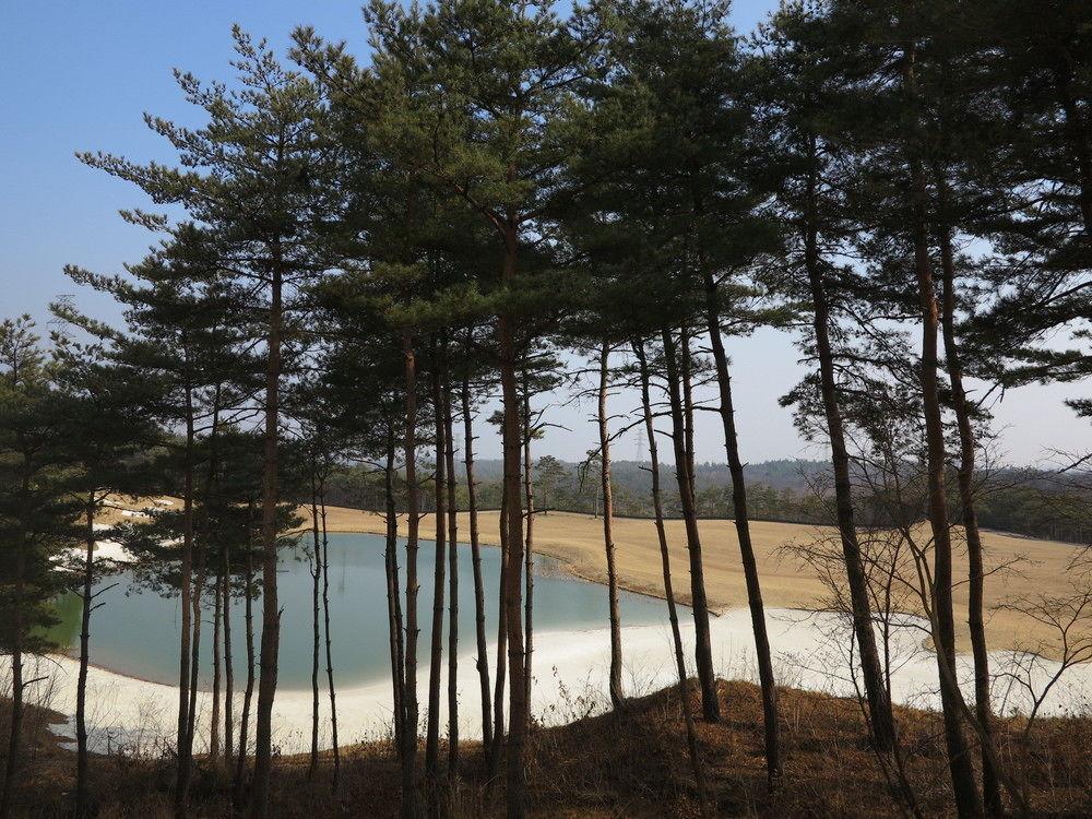 Pineridge Hotel Sokcho Ngoại thất bức ảnh