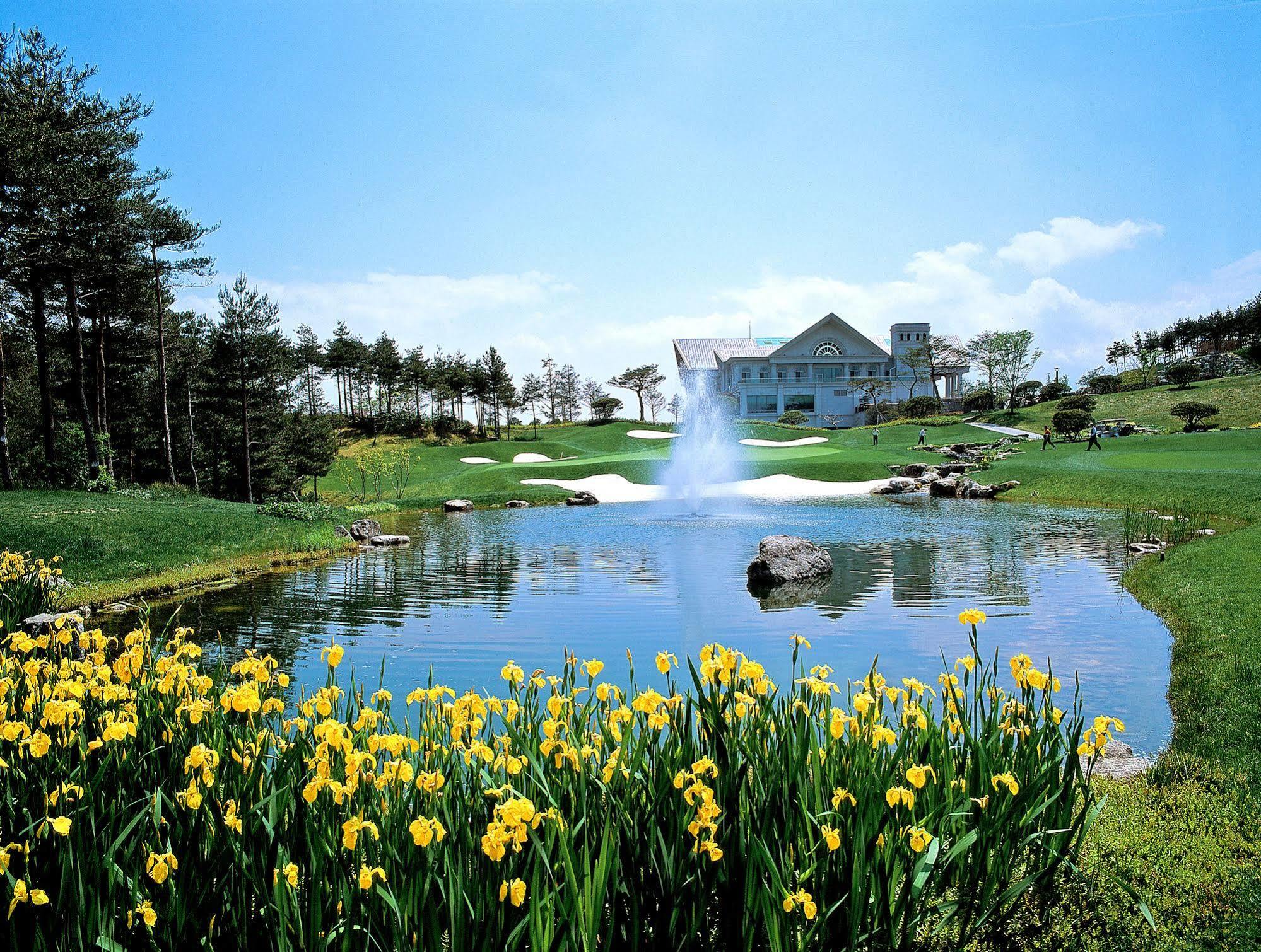 Pineridge Hotel Sokcho Ngoại thất bức ảnh